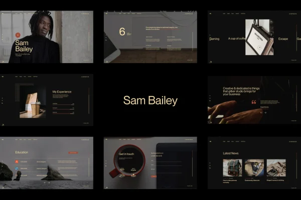 Sam Bailey personal CV and resume WordPress theme preview