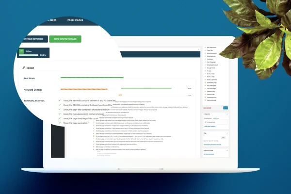 smart SEO - Wordpress plugin banner