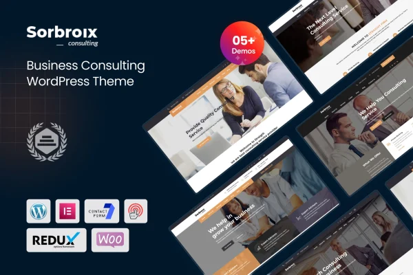Sorbroix business consulting WordPress theme preview