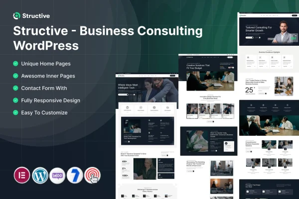 Structive business consulting WordPress theme preview