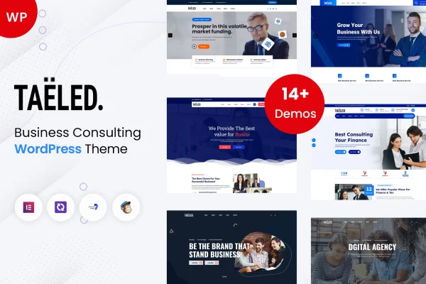 TAELED business consulting WordPress theme cover image