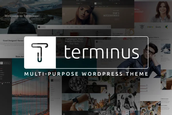 Terminus multi-purpose WordPress theme cover image