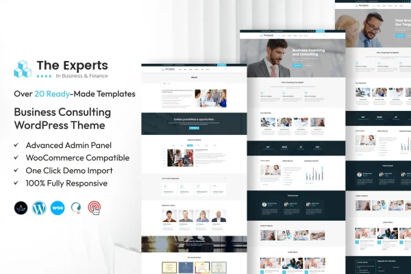 The Experts business consulting WordPress theme preview