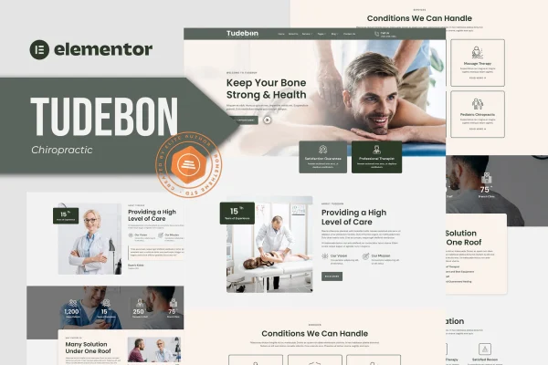 Tudebon chiropractic and physiotherapy Elementor template kit preview