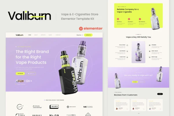 Valiburn vape and e-cigarette store Elementor template kit preview
