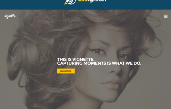 Vignette WordPress theme for photographers showing a full-screen portfolio layout
