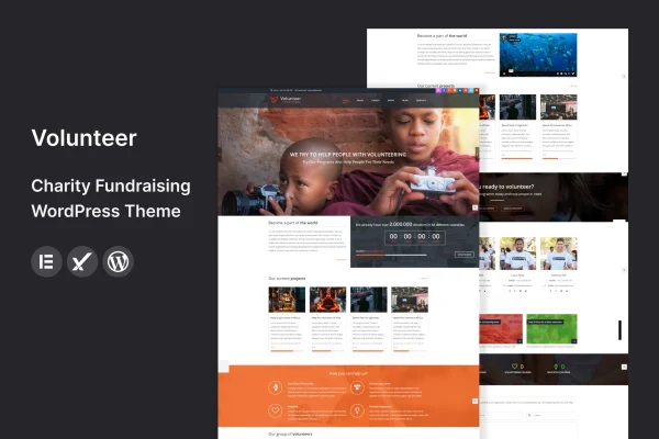 Volunteer charity and fundraising WordPress theme preview