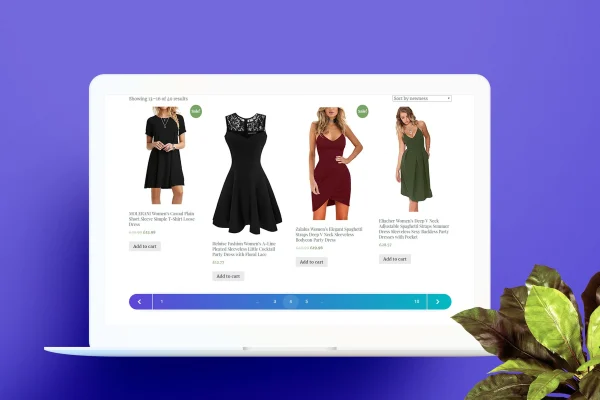 Custom Pagination for Wordpress / WooCommerce plugin banner with pagination style examples